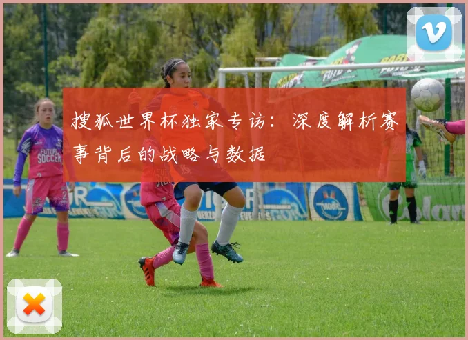 搜狐世界杯独家专访：深度解析赛事背后的战略与数据