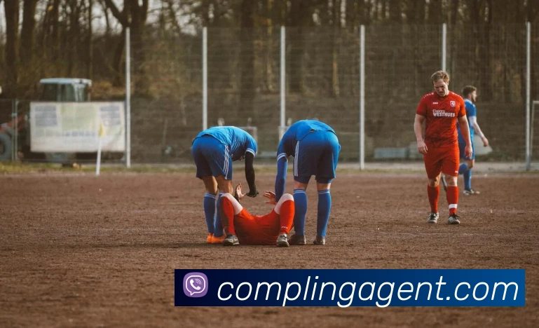 mksports在线登录入口平台生态图